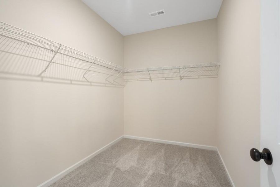 Spacious, unfurnished interior of a new home in Kingston Park, Kingston (Image 21).