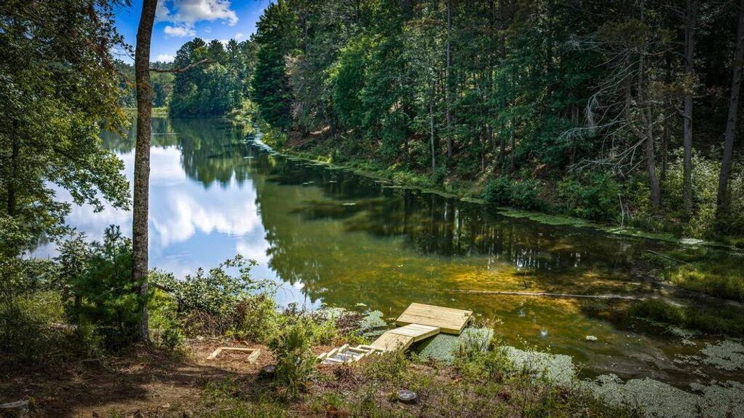 Natural landscape and outdoor views near  in Ellijay (Image 97).