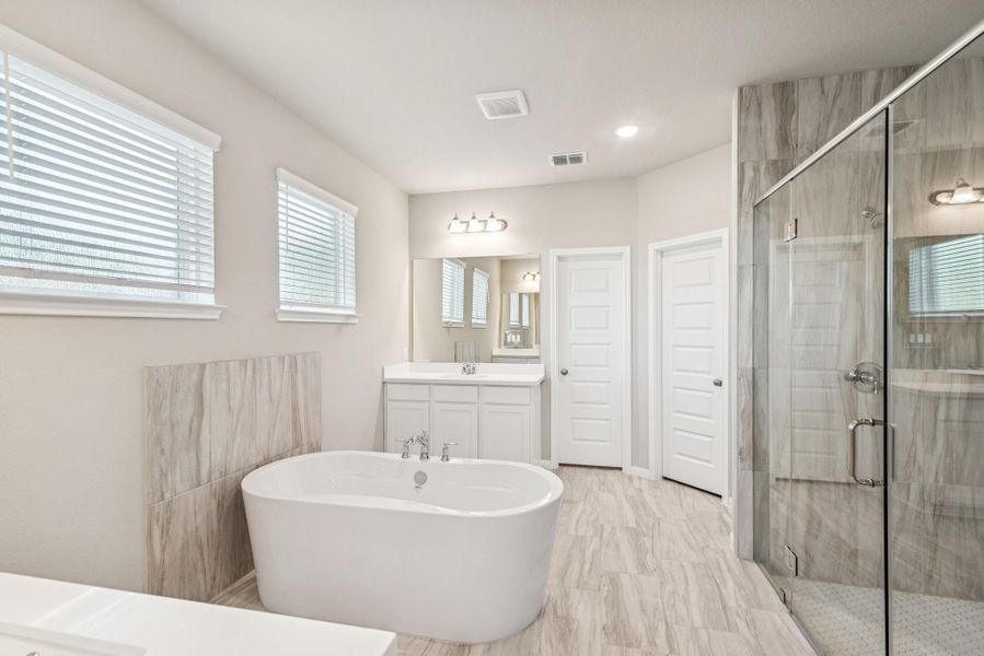 Luxurious owner's bath