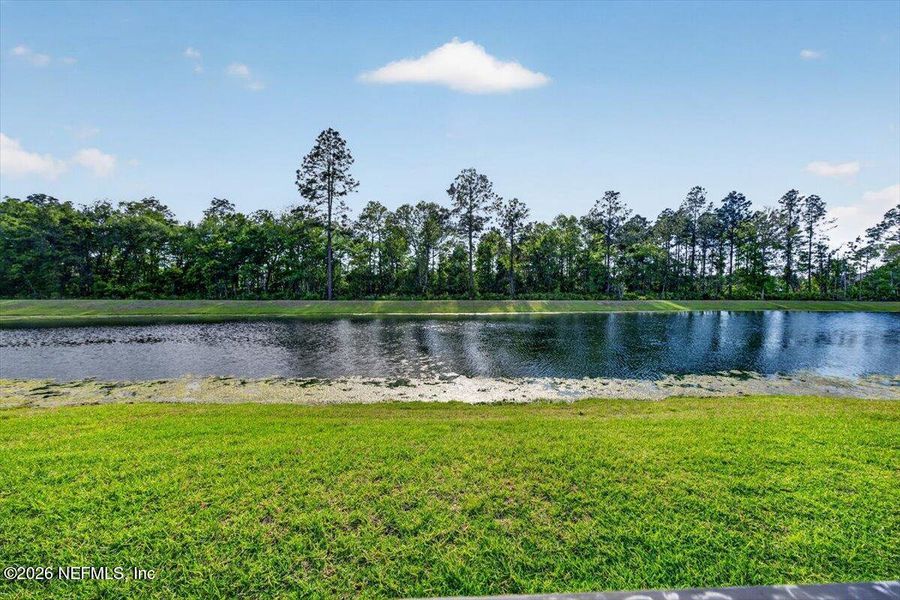 Natural landscape and outdoor views near  in St. Johns (Image 72).
