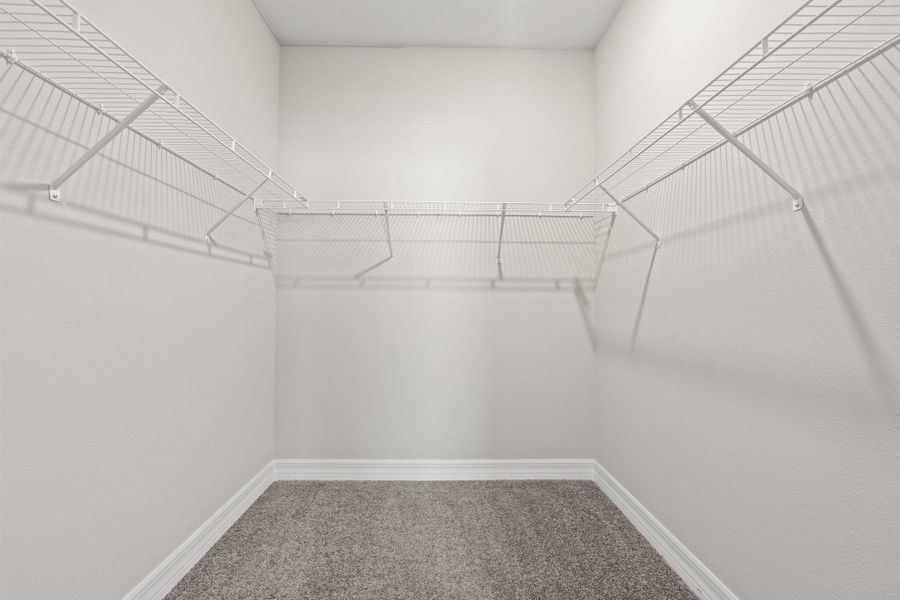 14-web-or-mls-DSC01107