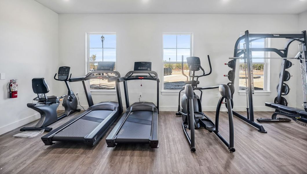 Image 43 representing the HAYDEN by D.R. Horton in Sidbury Station, Castle Hayne, NC.