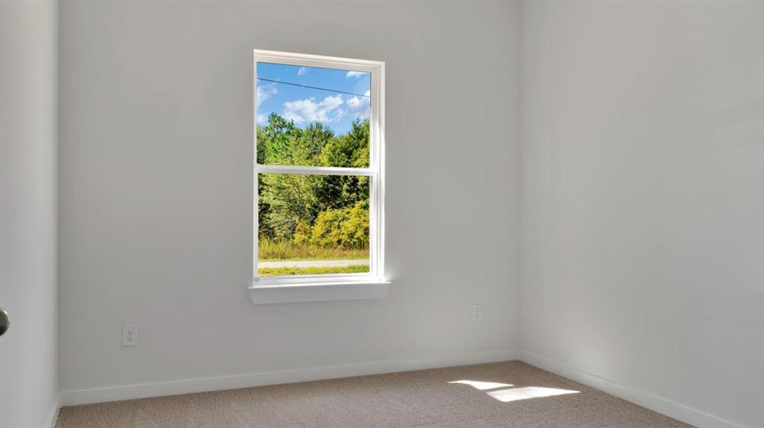 Carpeted empty room with plenty of natural light