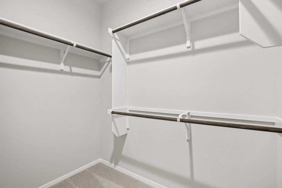 Image of a primary closet with white shelves and tan carpeting
