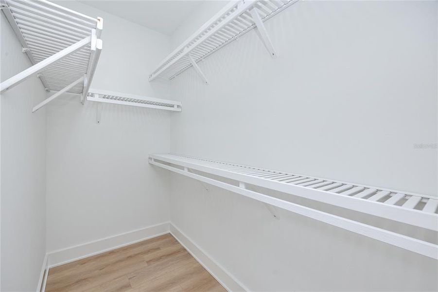 Spacious, unfurnished interior of a new home in , Tampa (Image 43).