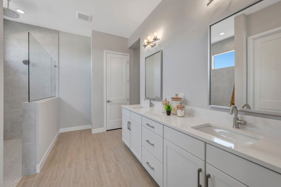 Owner's Bath