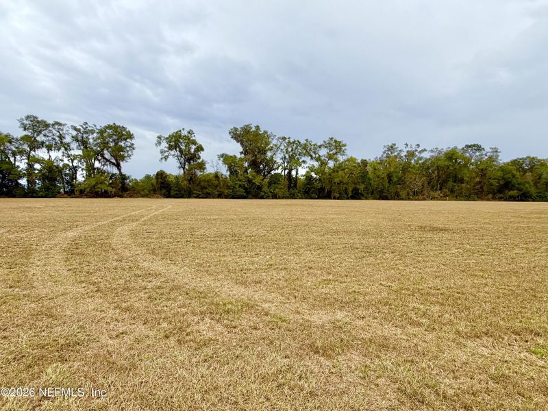 Natural landscape and outdoor views near  in Brooker (Image 27).