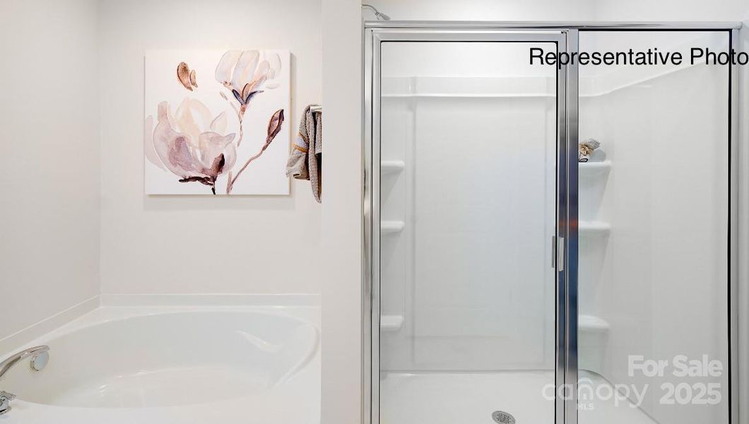 Primary suite deluxe bath Primary suite deluxe bath