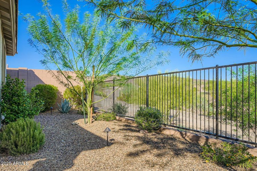 31945 N 123rd Lane - Web Quality - 028 - 31945 N 123rd Lane - Web Quality - 028 -