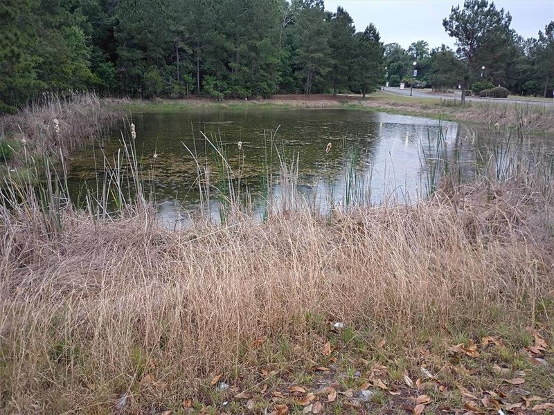 Natural landscape and outdoor views near  in Lake City (Image 76).