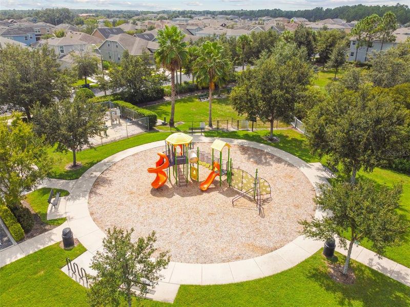 Community amenities in Westgate at Avalon Park, Wesley Chapel (Image 82).
