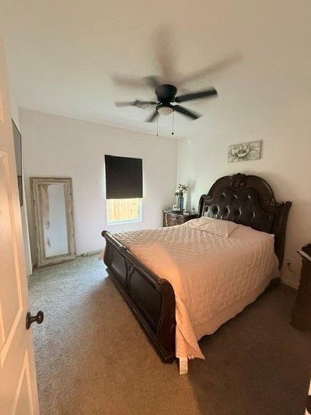 Primary bedroom with plush carpeting, and a ceiling fan.