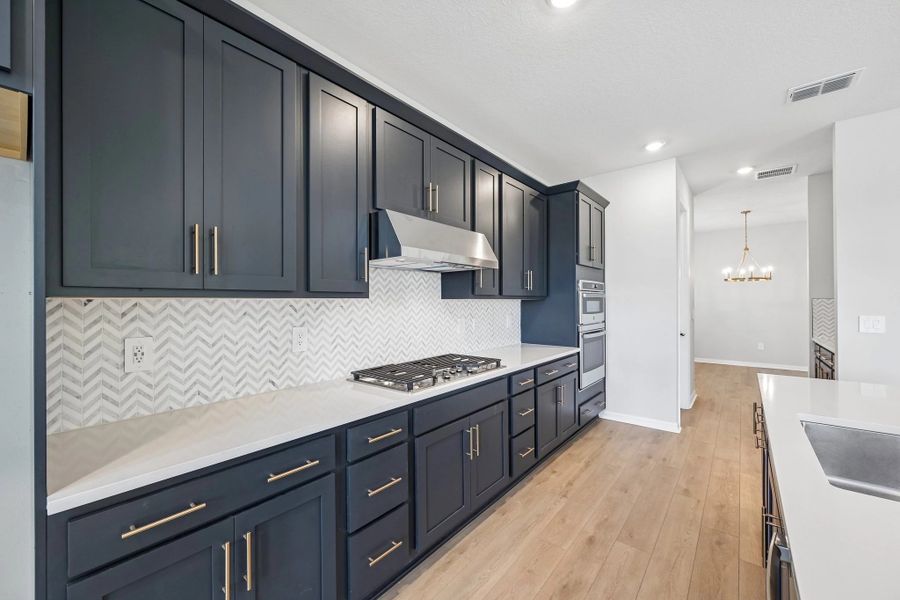 This stunning AW Collection® Sapphire kitchen also has a gas range and a vent hood