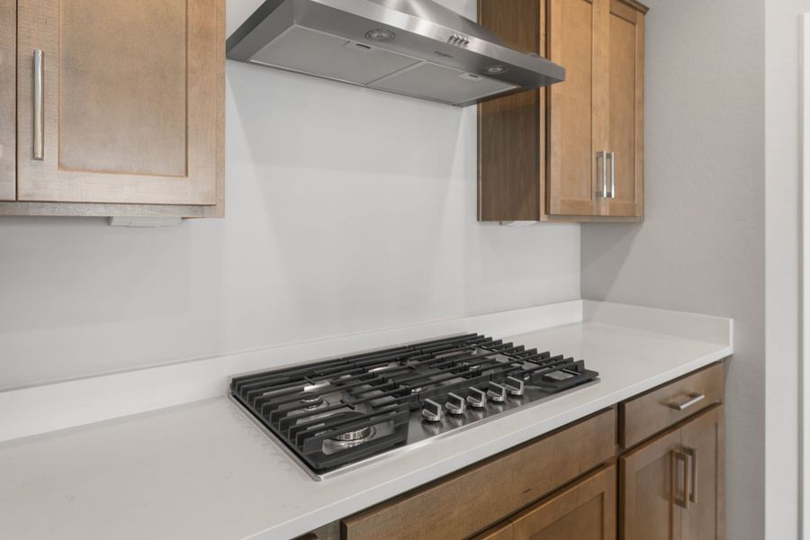 Close-up of interior finishes inside a home in Blossom Rock, Apache Junction (Image 12).