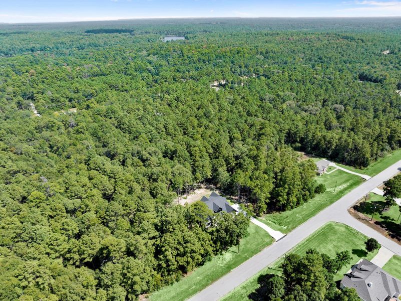 Natural landscape and outdoor views near  in Huntsville (Image 38).
