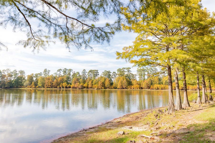 Image 18 of a home in Grand Central Park Deer Lake Estates.