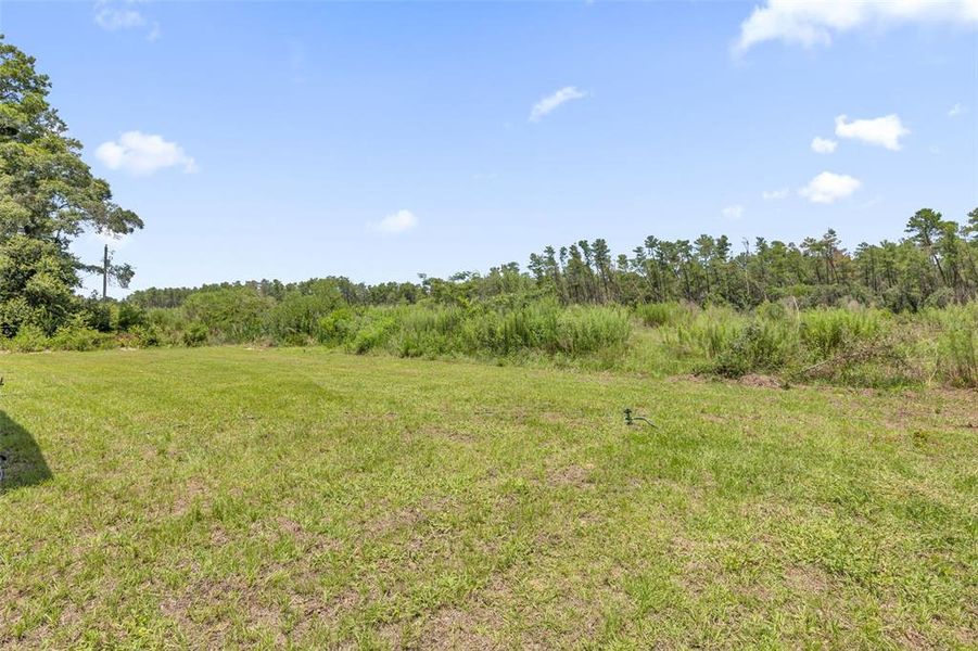 Natural landscape and outdoor views near  in Ocala (Image 47).