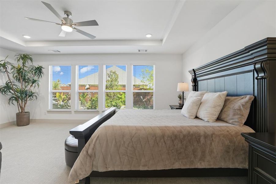 Bedroom featuring multiple windows, carpet floors, and a tray ceiling Bedroom featuring multiple windows, carpet floors, and a tray ceiling