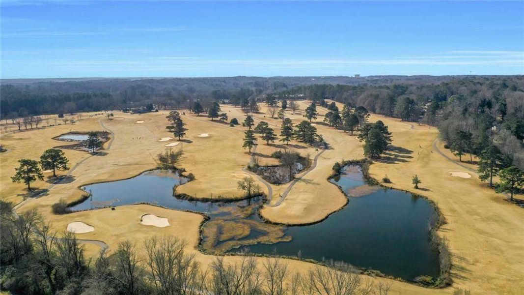 Natural landscape and outdoor views near  in Atlanta (Image 38).