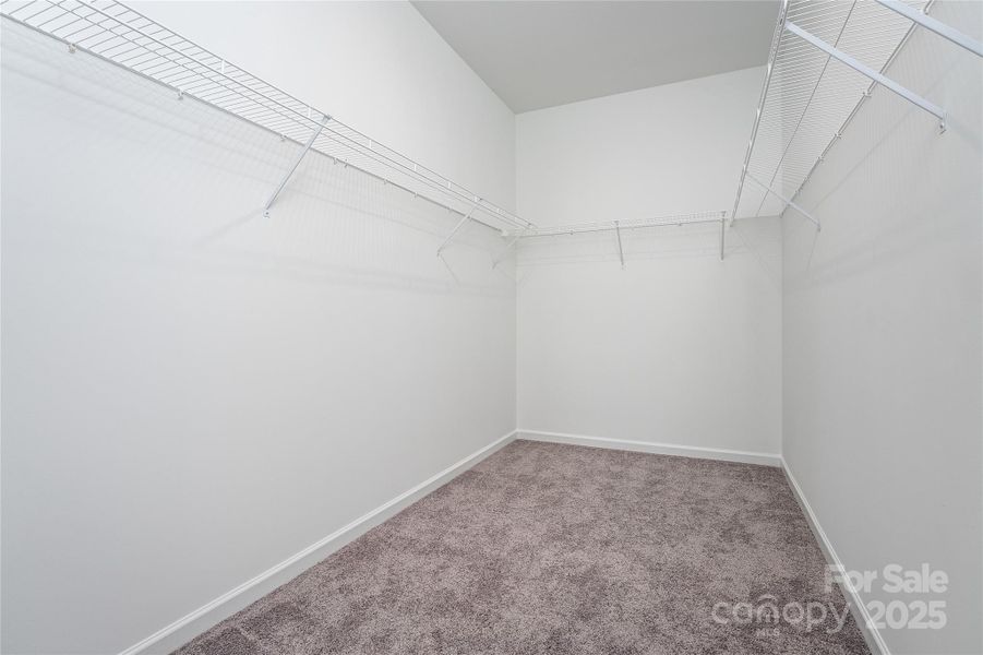 Spacious, unfurnished interior of a new home in Country Club Village, Salisbury (Image 7). Spacious, unfurnished interior of a new home in Country Club Village, Salisbury (Image 7).