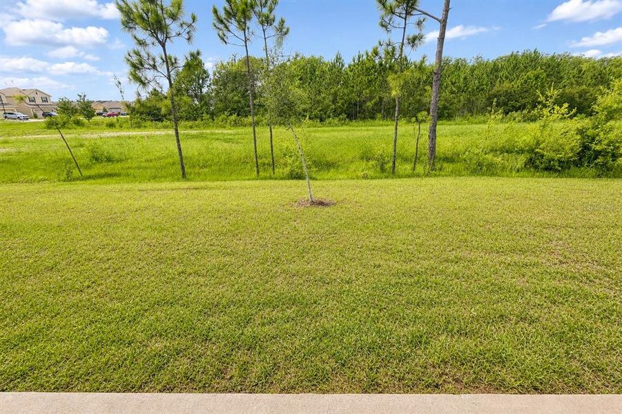 Natural landscape and outdoor views near Harmony Central in St. Cloud (Image 21).