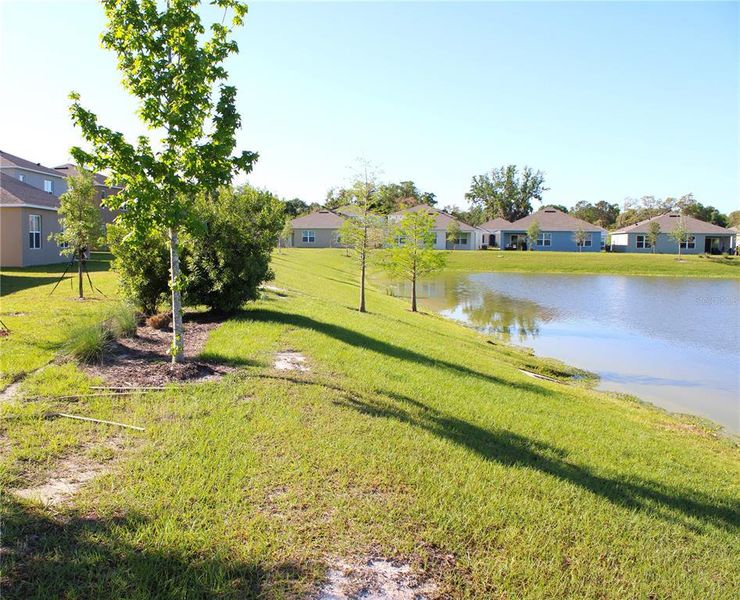 Natural landscape and outdoor views near Charles Cove Express in Davenport (Image 29).