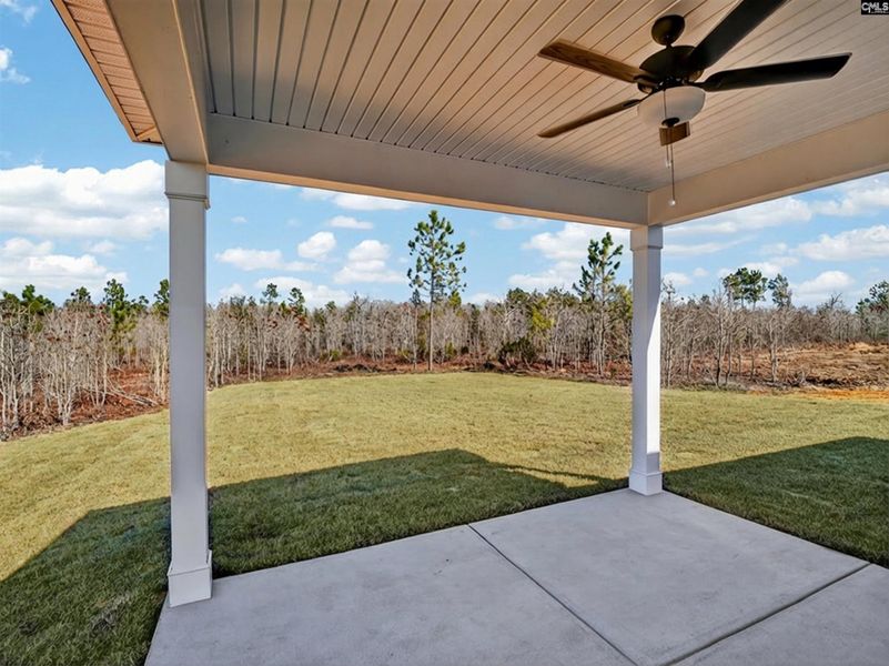 Exterior details and patio area of a home in Old Charleston Acres, Pelion (Image 22).