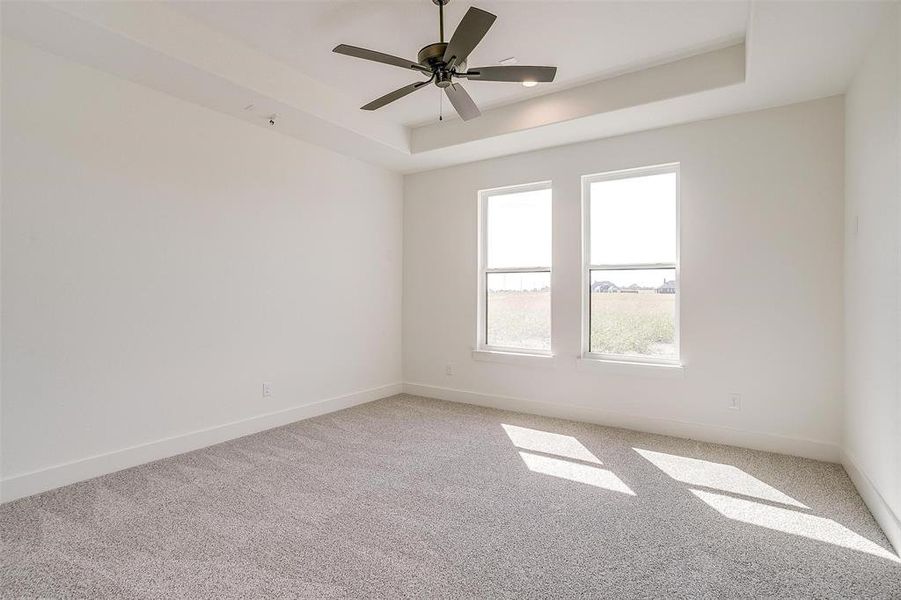 Spare room with carpet, a tray ceiling, and ceiling fan