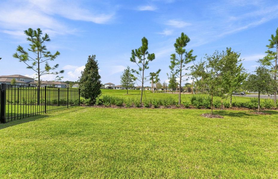 Natural landscape and outdoor views near Twisted Oaks in Wildwood (Image 26).