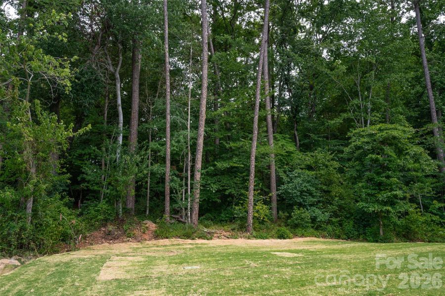 Natural landscape and outdoor views near Crescent Golf in Salisbury (Image 30). Natural landscape and outdoor views near Crescent Golf in Salisbury (Image 30).