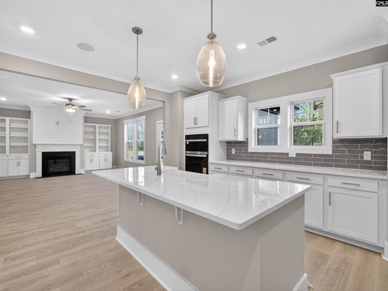 Furnished interior view inside a new home in Collins Cove, Chapin (Image 7).