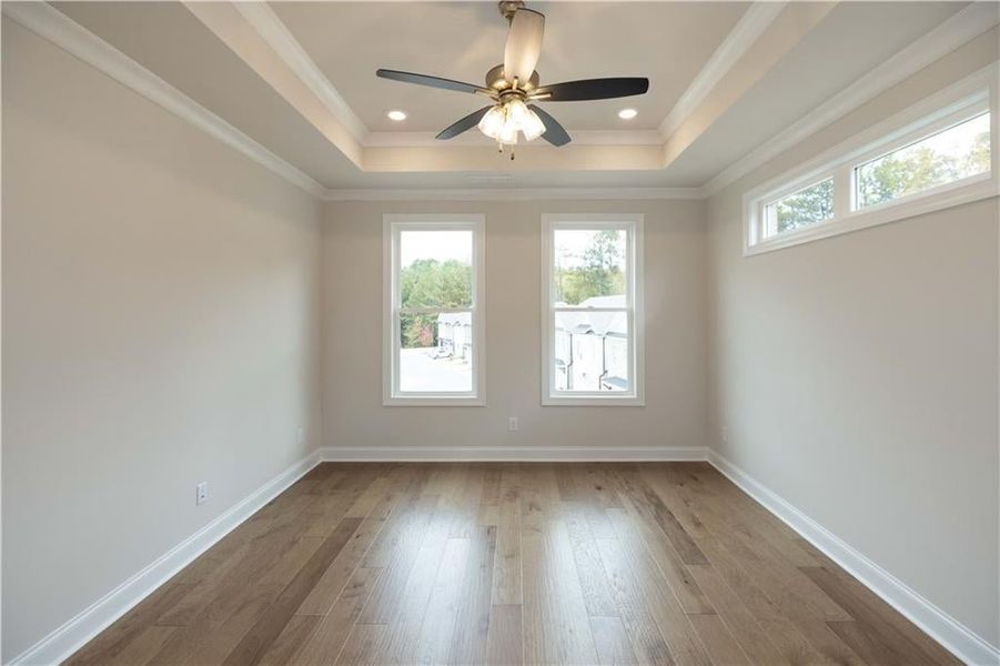 Unfurnished room with ornamental molding, hardwood / wood-style floors, ceiling fan, and a tray ceiling