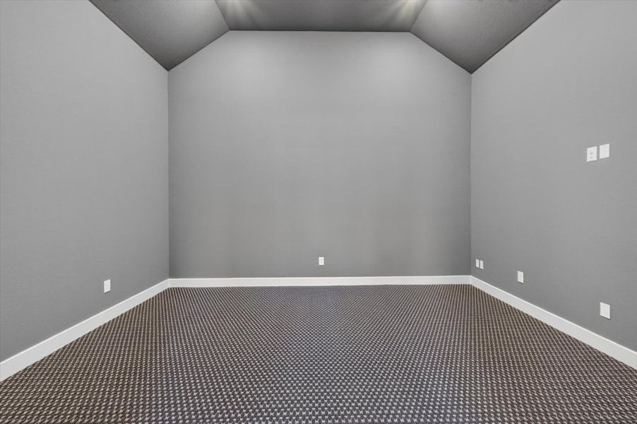 Entertainment Room