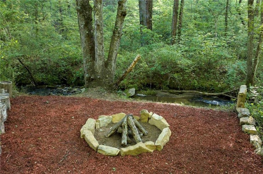 Natural landscape and outdoor views near  in Ellijay (Image 23).