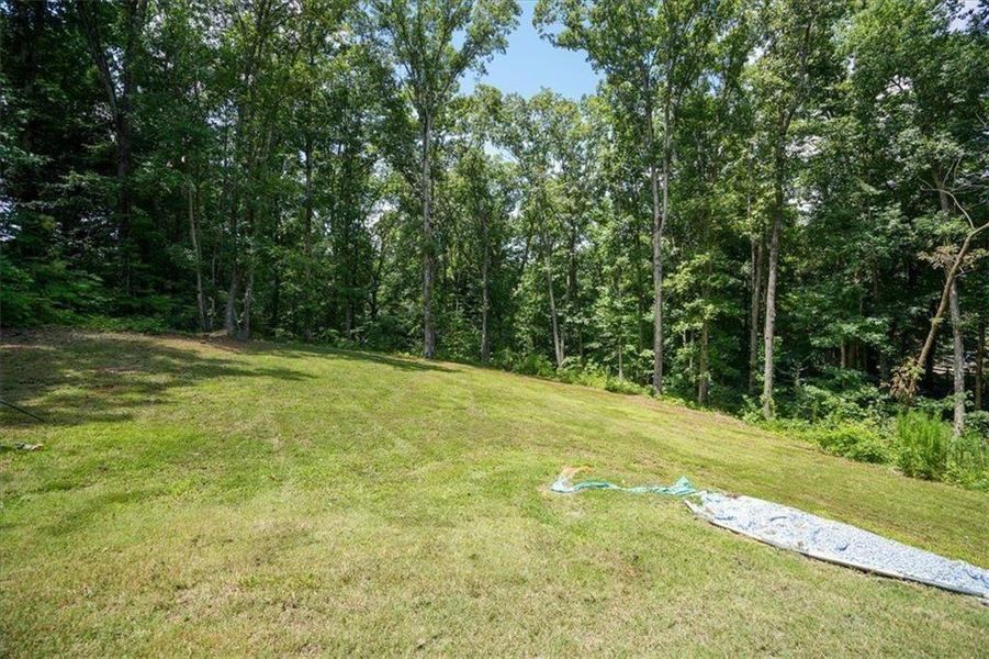 Natural landscape and outdoor views near  in Acworth (Image 86).
