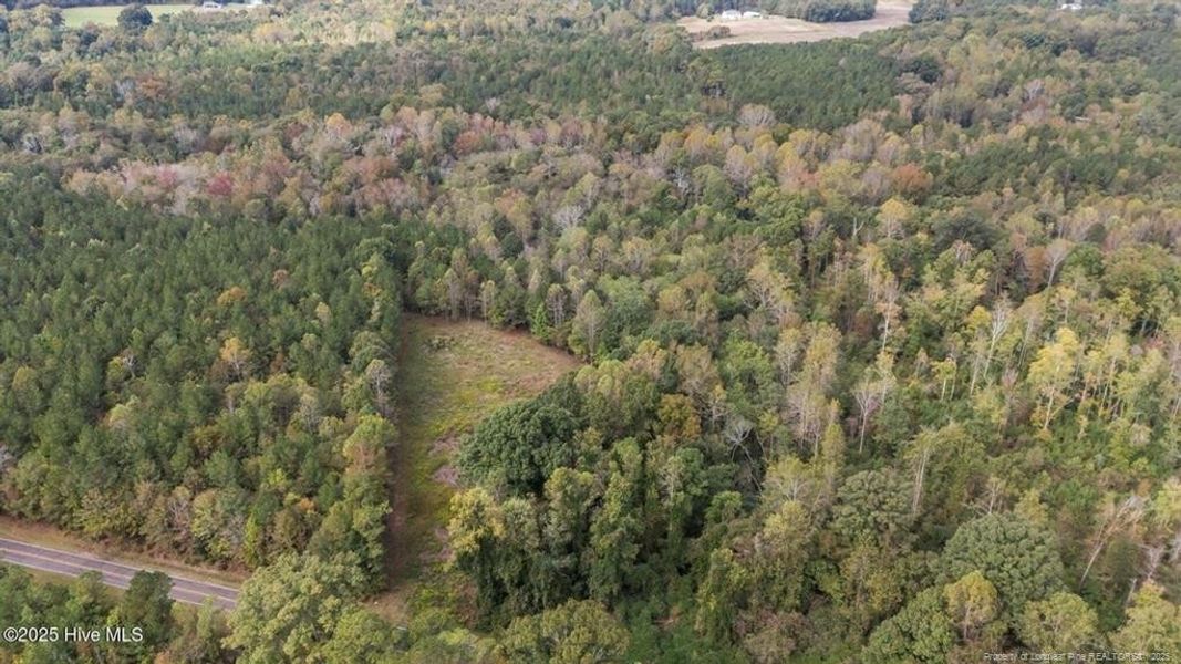 1435 Pineywood Church Road - 9.13 Acres 1435 Pineywood Church Road - 9.13 Acres