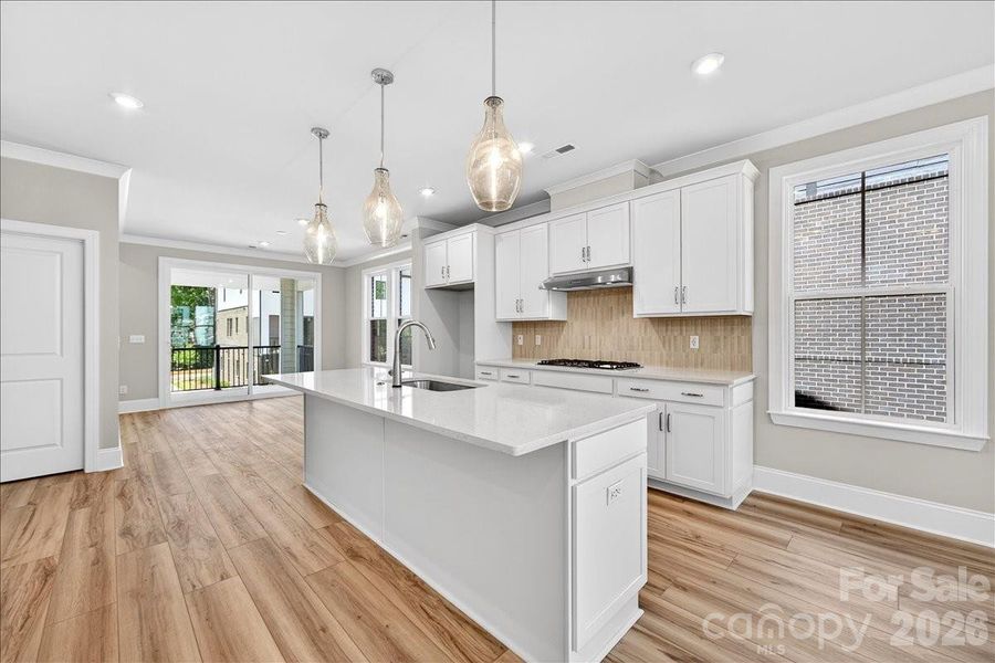 Gourmet kitchen with white cabinets