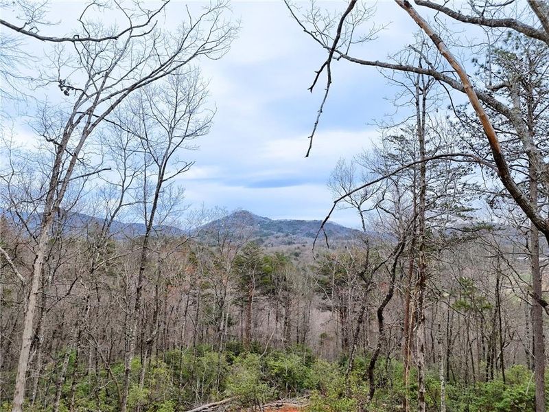 Natural landscape and outdoor views near  in Clayton (Image 65).