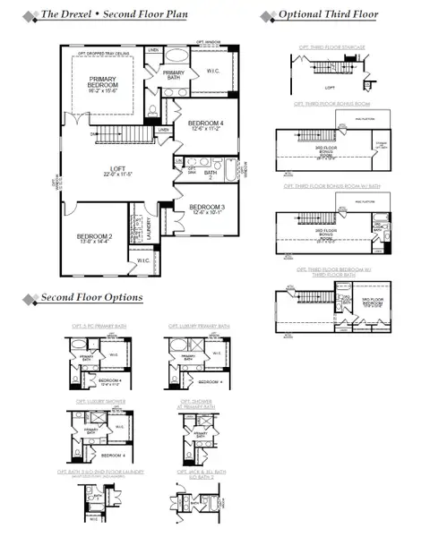 2D floor plan layout of this home in Hayes Village, Greensboro, NC (Image 3).