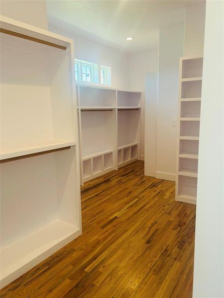 Spacious closet featuring light wood-style floors