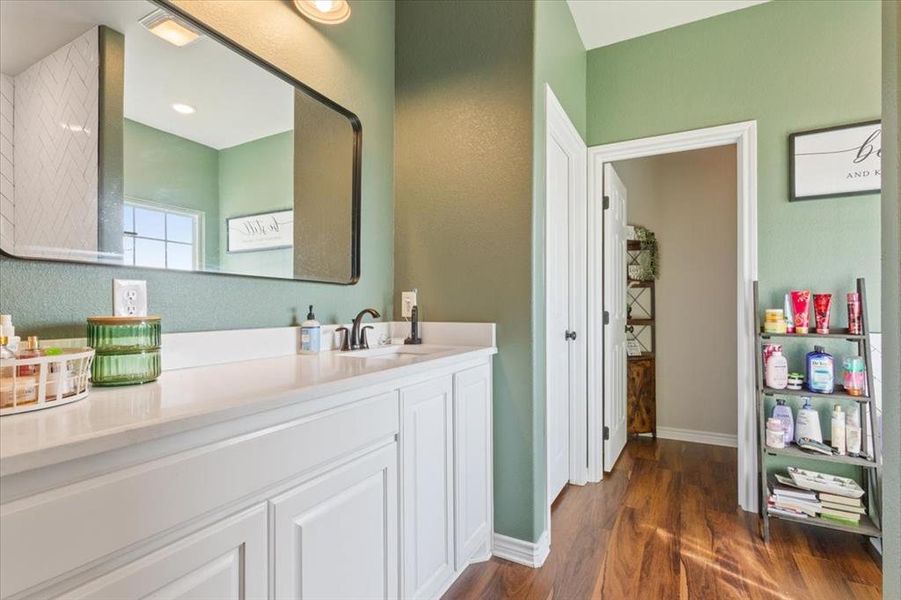 Bathroom featuring dark wood-style flooring and vanity
