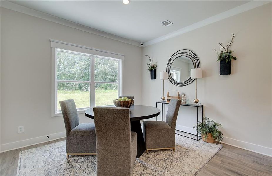 Furnished interior view inside a new home in Rosewood Lake Estates, Hoschton (Image 5).