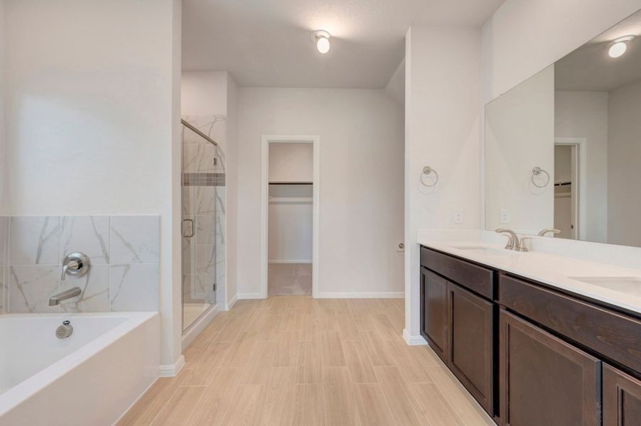 Owner's Bathroom