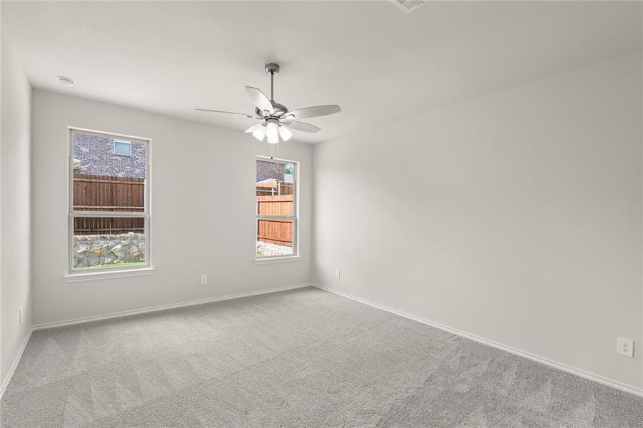 14. 3116 Yellow Pine - Primary 14. 3116 Yellow Pine - Primary