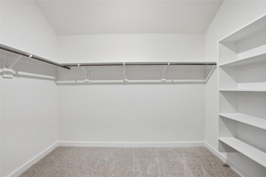 Spacious closet featuring light carpet Spacious closet featuring light carpet