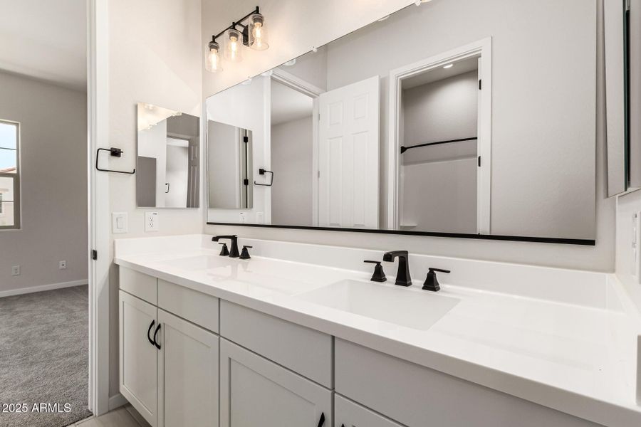 27-Hollyhock 27-Hollyhock