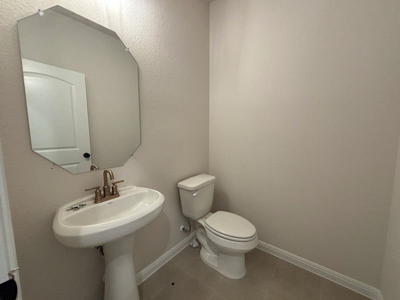 Powder bath Powder bath