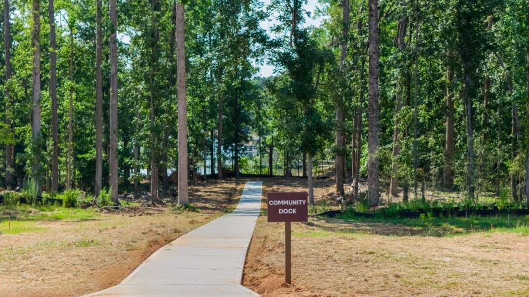 Natural landscape and outdoor views near Grandview at Lanier in Dawsonville (Image 31). Natural landscape and outdoor views near Grandview at Lanier in Dawsonville (Image 31).