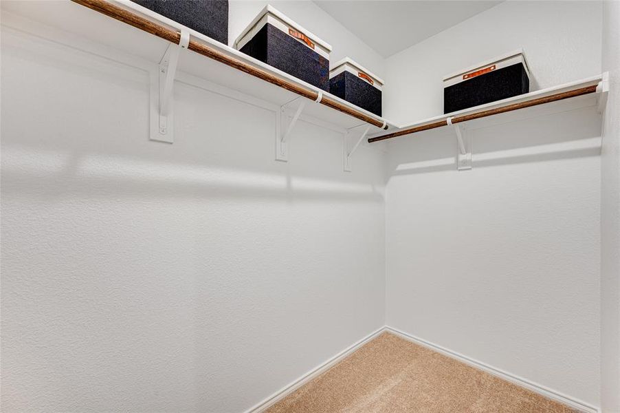 Walk in closet featuring carpet flooring