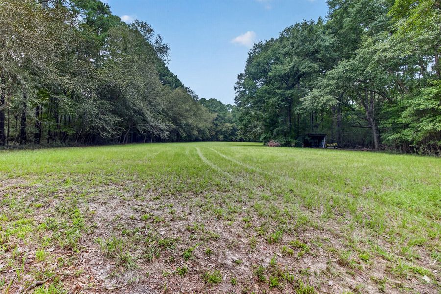 Natural landscape and outdoor views near  in Meggett (Image 29).